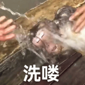 疯猴尊嘟假嘟表情包 两只手在给一个物体“洗喽”，画面有趣又带感的动态表情包