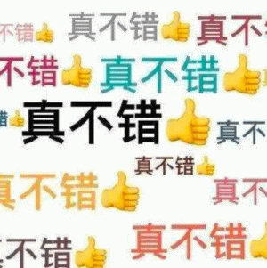 实用冷门发疯文字表情包