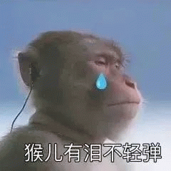 猴儿有泪不轻弹 搞笑表情包：别拦我！假期也没了！我要疯！