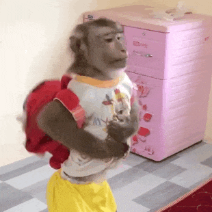 地 马喽猴子表情包：抖音超火马喽猴子背红色书包转圈动态GIF表情包