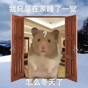 鼠鼠过冬表情包