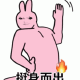 粉红兔×龙图表情包:还是司马的厉害!