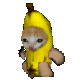 水果猫香蕉猫动图表情包