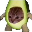 水果猫香蕉猫动图表情包