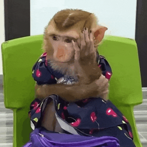 抖音所有的吗喽动态表情包 猴子穿着花衣服坐在绿椅子上,单手扶额表情无奈表情包图片gif动图 - 求表情网,斗图从此不求人!