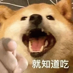 很火的指人表情包表情包图片gif动图 - 求表情网,斗图从此不求人!
