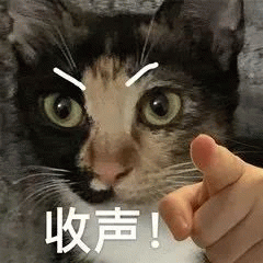 笑着指人的表情包表情包图片 - 求表情网,斗图从此不求人!