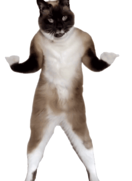 猫咪抖肩跳舞表情包