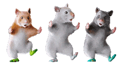 小老鼠跳舞表情包动图