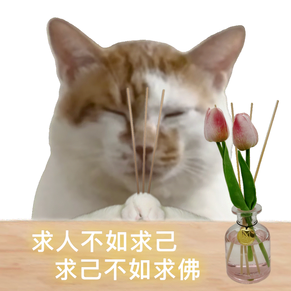 求人 - 表情包 - 求表情网,斗图从此不求人!
