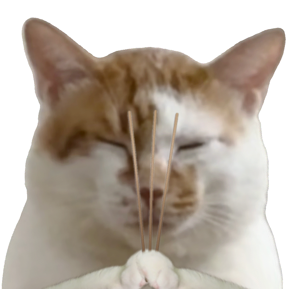 猫咪求佛表情包 可爱猫咪双手合十夹着香,闭眼表情超萌超治愈表情包图片gif动图 - 求表情网,斗图从此不求人!