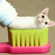 挤牙膏猫咪可爱表情包