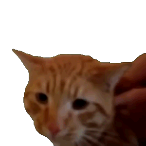 抖音超火的meme文学猫咪透明表情包动图 猫咪表情包 透明表情包