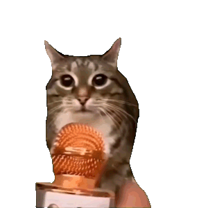 抖音超火的meme文学猫咪透明表情包动图 猫咪表情包 透明表情包