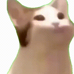 抖音很火的猫咪meme透明表情包动图 可爱猫咪仰头,表情呆萌,尽显萌态惹人爱表情包图片gif动图 - 求表情网,斗图从此不求人!