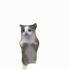 抖音很火的猫咪meme透明表情包动图 可爱仓鼠站立卖萌,萌态十足惹人爱表情包图片gif动图 - 求表情网,斗图从此不求人!