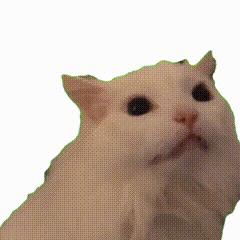 抖音很火的猫咪meme透明表情包动图 可爱猫咪呆萌表情,睁大眼睛超萌超可爱表情包图片gif动图 - 求表情网,斗图从此不求人!