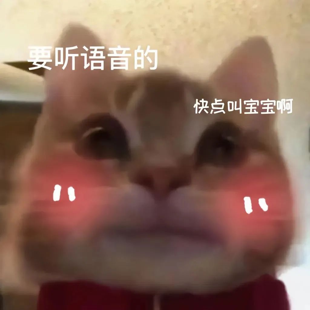 可爱猫咪表情包：要听语音的，快点叫宝宝啊，萌翻了 要听语音的 快点叫宝宝啊 | 表情包集合 可爱猫咪表情包：要听语音的，快点叫宝宝啊
