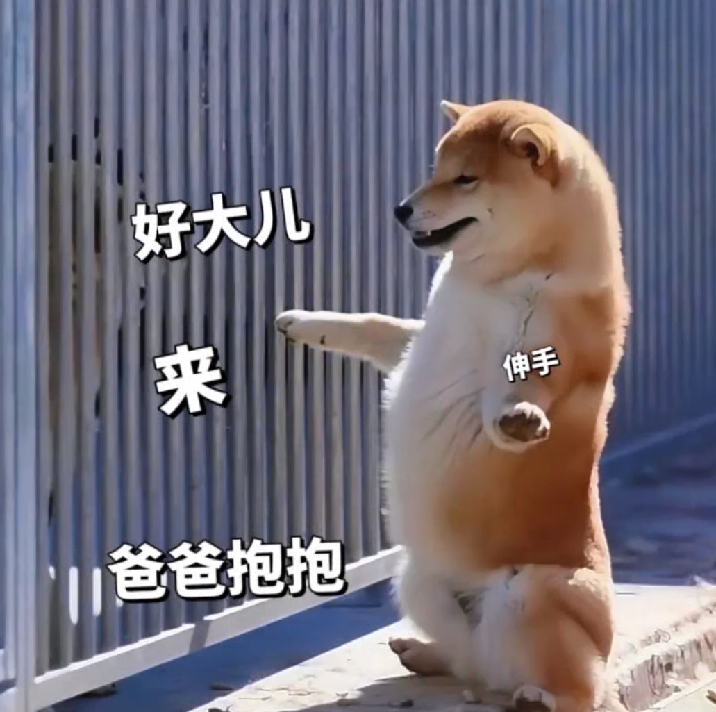 《可爱柴犬撒娇求抱，配文“好大儿来爸爸抱抱”萌翻了》 出来玩吗我去接你 | ๑表情包~ 可爱柴犬站立伸手，配文“好大儿来 爸爸抱抱”的温馨表情 ...