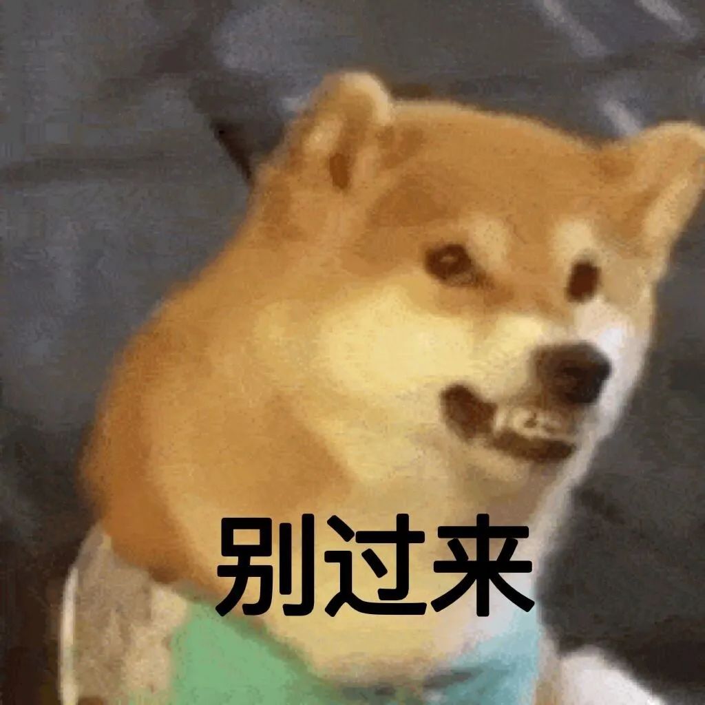 柴犬一脸嫌弃并配文“别过来”,超萌拒绝表情包 今晚陪陪我好吗 | 微信可爱聊天表情包 柴犬一脸抗拒配文“别过来”,超萌表情包可爱又有趣表情包 ...