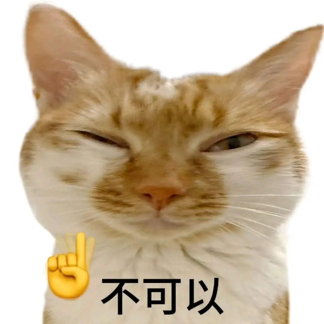 猫咪眯眼比出“不可以”手势，可爱又坚定地拒绝 讨坏型人格表情包 可爱猫咪眯眼配手势，表情严肃表示“不可以”表情包图片gif动图 - 求表情网 ...