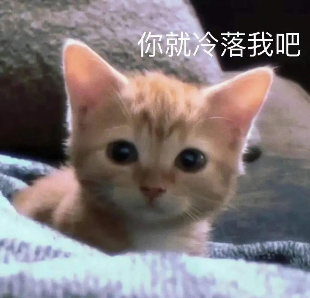 可爱小猫委屈巴巴,配文“你就冷落我吧”尽显可怜模样 可可爱爱表情包 丨我亲爱的恋爱搭子 可爱橘猫委屈巴巴,配文“你就冷落我吧”,萌化人心的表情 ...