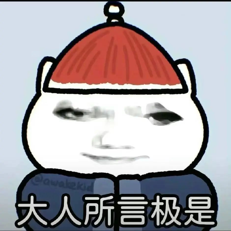 戴着红帽的卡通人物，配文“大人所言极是”，尽显乖巧顺从 聊天必备表情包 丨 你脑袋真的没事吗表情包图片gif动图 - 求表情网,斗图从此不求人!