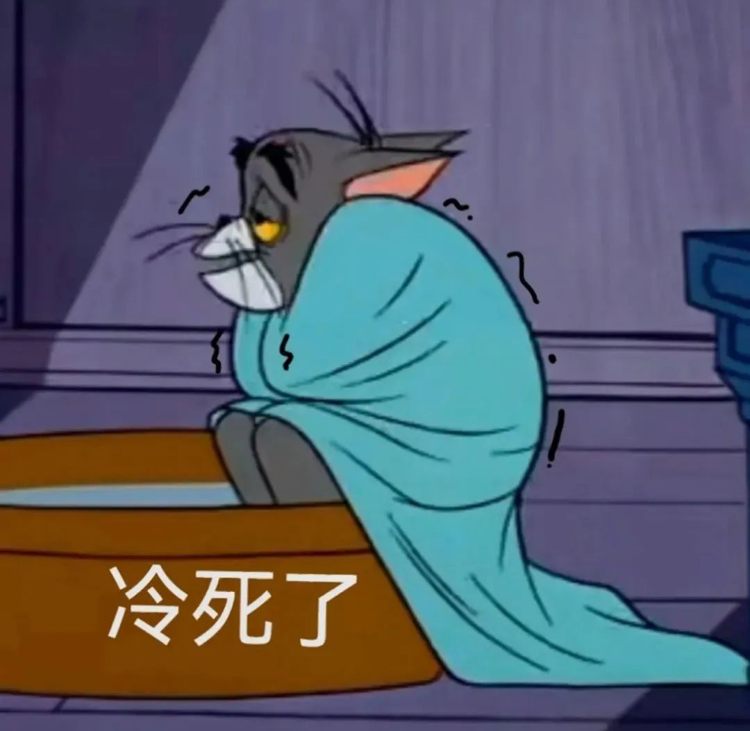 裹着毯子瑟瑟发抖的汤姆猫,配文“冷死了”,尽显冬日寒冷之感 表情包|这班谁爱上谁上表情包图片gif动图 - 求表情网,斗图从此不求人!