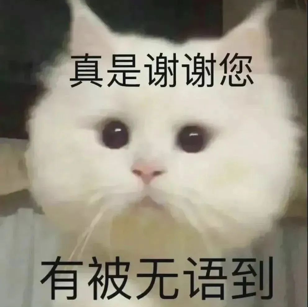 可爱猫咪表情包：“真是谢谢您，有被无语到”尽显无奈心情 表情包｜晚安 我请了蚊子 今晚来亲你 不用谢表情包图片gif动图 - 求表情网,斗图 ...