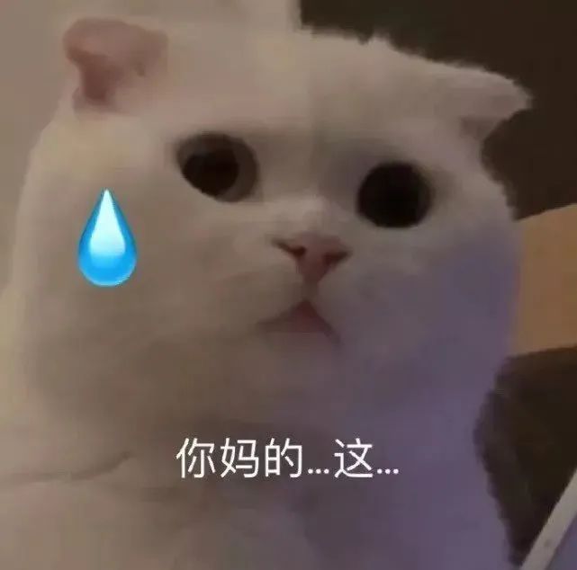 表情包｜哦哦你真牛啊