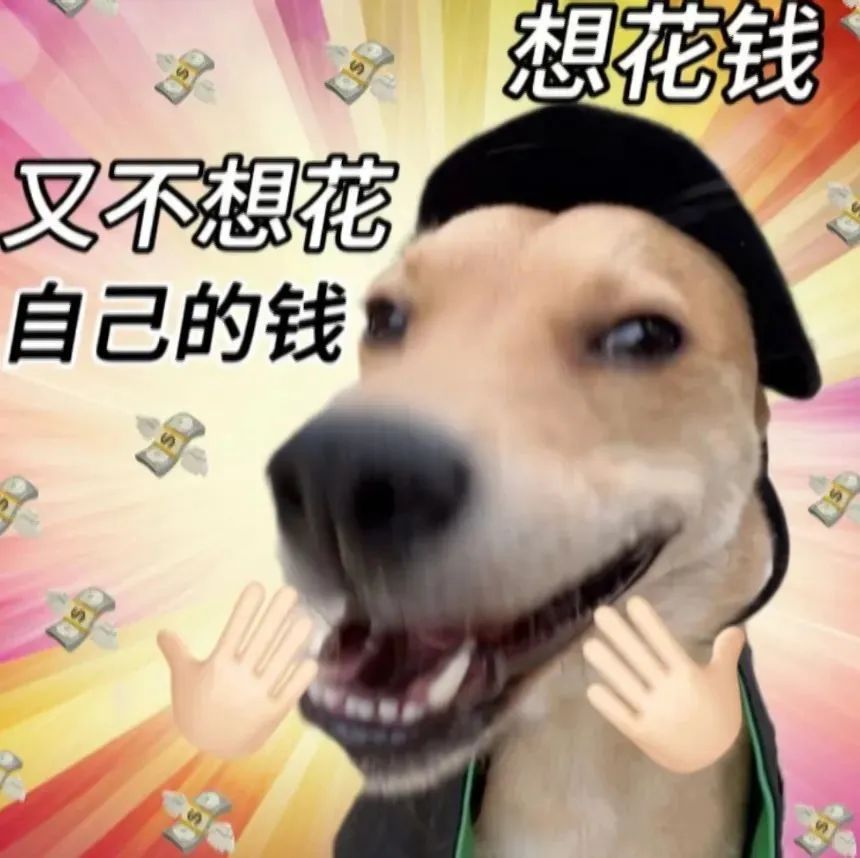 啊啊啊哦哦哦丢了钱包表情包图片 - 求表情网,斗图从此不求人!