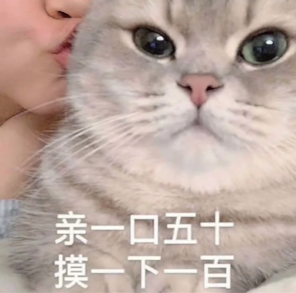 十几个爵位十二，一个都不罩一下二团，啊呸表情包图片 - 求表情网,斗图从此不求人!