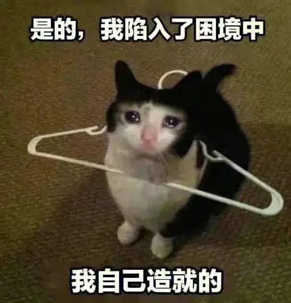 《是的，我陷入了困境 我自己造就的》猫咪与衣架的无奈搞笑图 表情包｜切 装给谁看呢表情包图片gif动图 - 求表情网,斗图从此不求人!