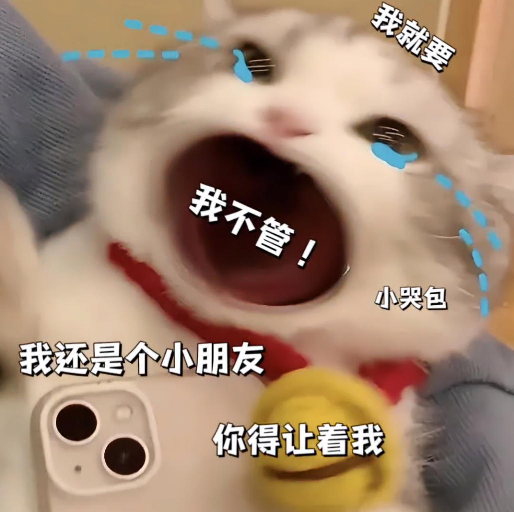 “我就要我不管!我还是个小朋友你得让着我”的任性小猫表情包 大哥算了别动气 | ๑超Nice的表情包 ง表情包图片gif动图 - 求表情网,斗 ...