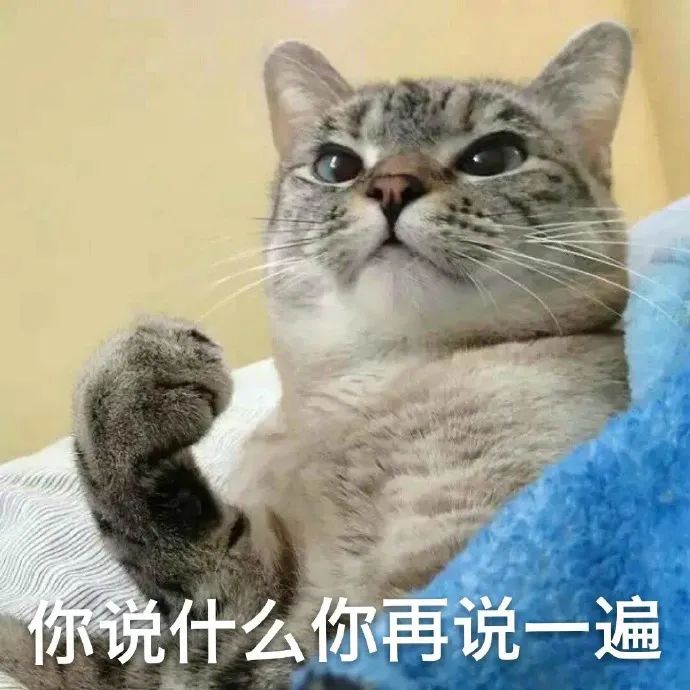 可爱猫咪躺卧着举起爪子,配文“你说什么你再说一遍” 表情包|今晚就要拿下他!表情包图片gif动图 - 求表情网,斗图从此不求人!
