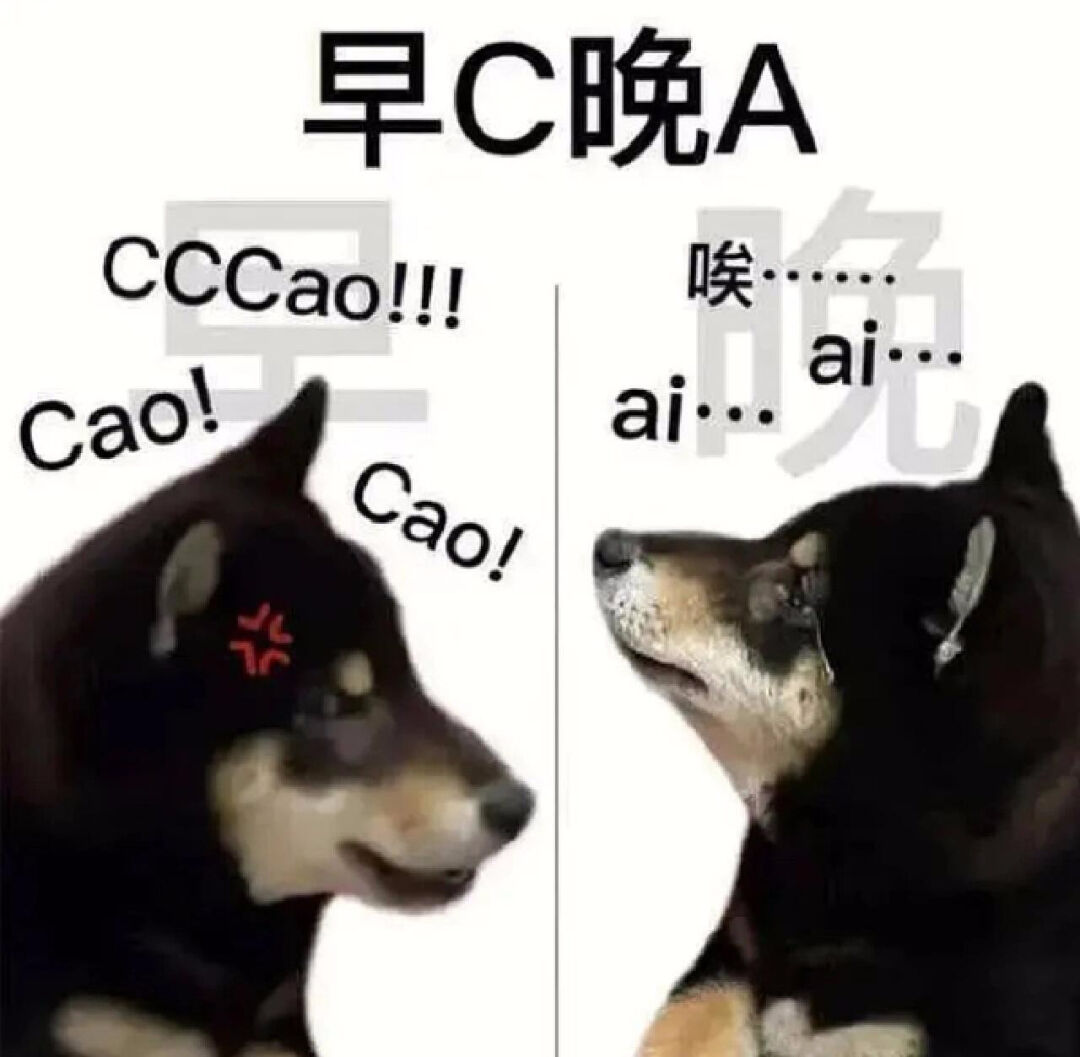 《早C晚A:早上“CCCaO”激情满满,晚上“唉…ai…ai”尽显疲惫》 万能回复表情包表情包图片gif动图 - 求表情网,斗图从此不求人!