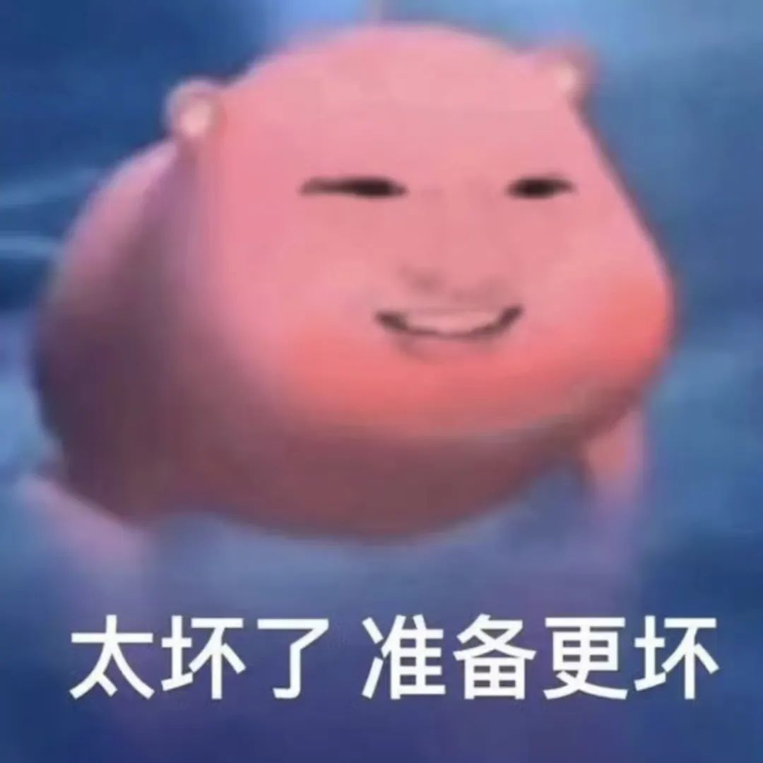 坏笑萌物来袭，“太坏了准备更坏”表情包萌翻全场 抽象到没边的sakuya表情包表情包图片gif动图 - 求表情网,斗图从此不求人!