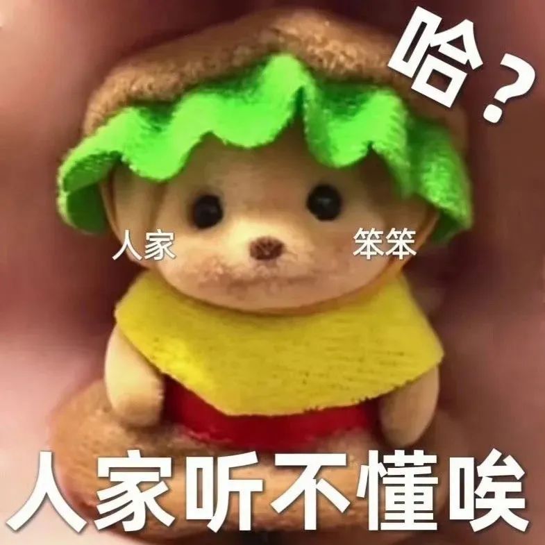 戴着汉堡帽的玩偶一脸懵,配文“人家听不懂唉”超可爱 1000个最火的表情包表情包图片gif动图 - 求表情网,斗图从此不求人!
