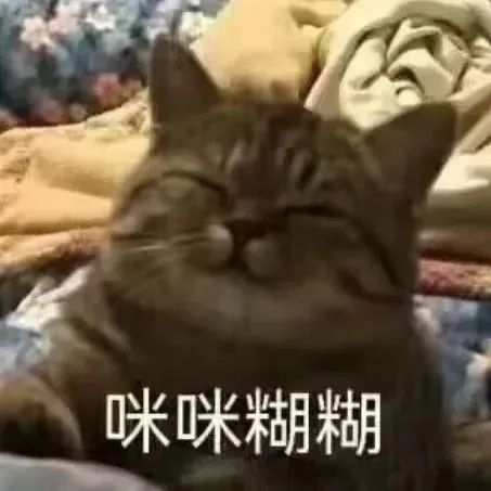 可爱猫咪眯着眼一脸满足,配文“咪咪糊糊”超萌 1000个最火的表情包表情包图片gif动图 - 求表情网,斗图从此不求人!