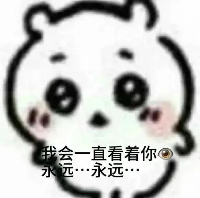 可爱小熊表情：我会一直看着你，永远永远超暖心 1000个最火的表情包表情包图片gif动图 - 求表情网,斗图从此不求人!