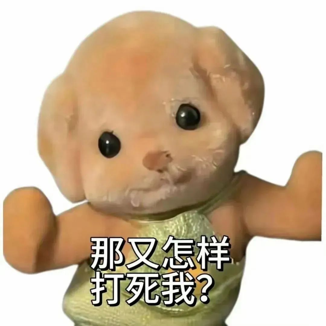 可爱玩偶摆出霸气姿势,配文“那又怎样 打死我?”超拽表情包 1000个最火的表情包表情包图片gif动图 - 求表情网,斗图从此不求人!