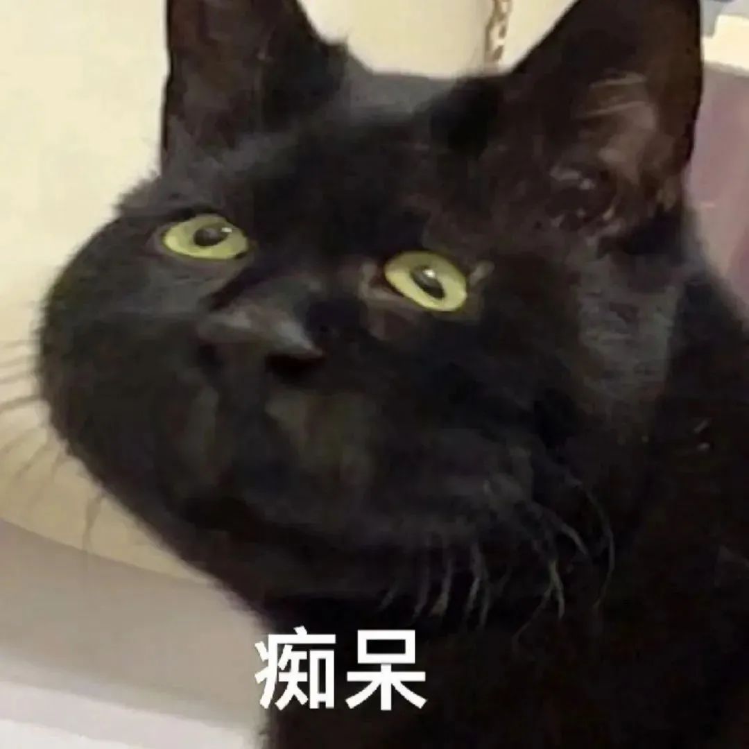 呆萌黑猫瞪大双眼,表情“痴呆”,可爱到让人忍俊不禁 1000个最火的表情包表情包图片gif动图 - 求表情网,斗图从此不求人!