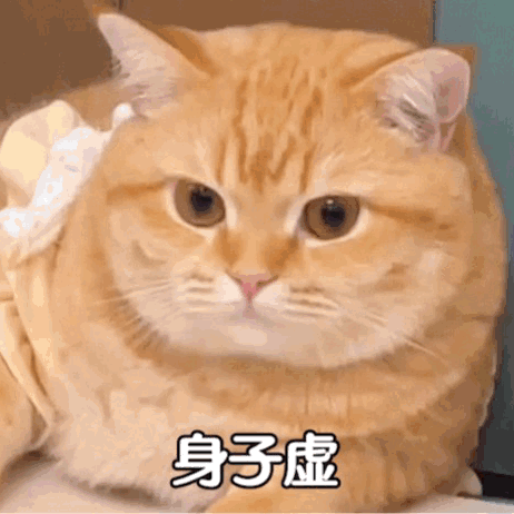 橘猫一脸虚弱表情,配文“身子虚”,尽显慵懒无力感 表情包|真的老六表情包图片gif动图 - 求表情网,斗图从此不求人!