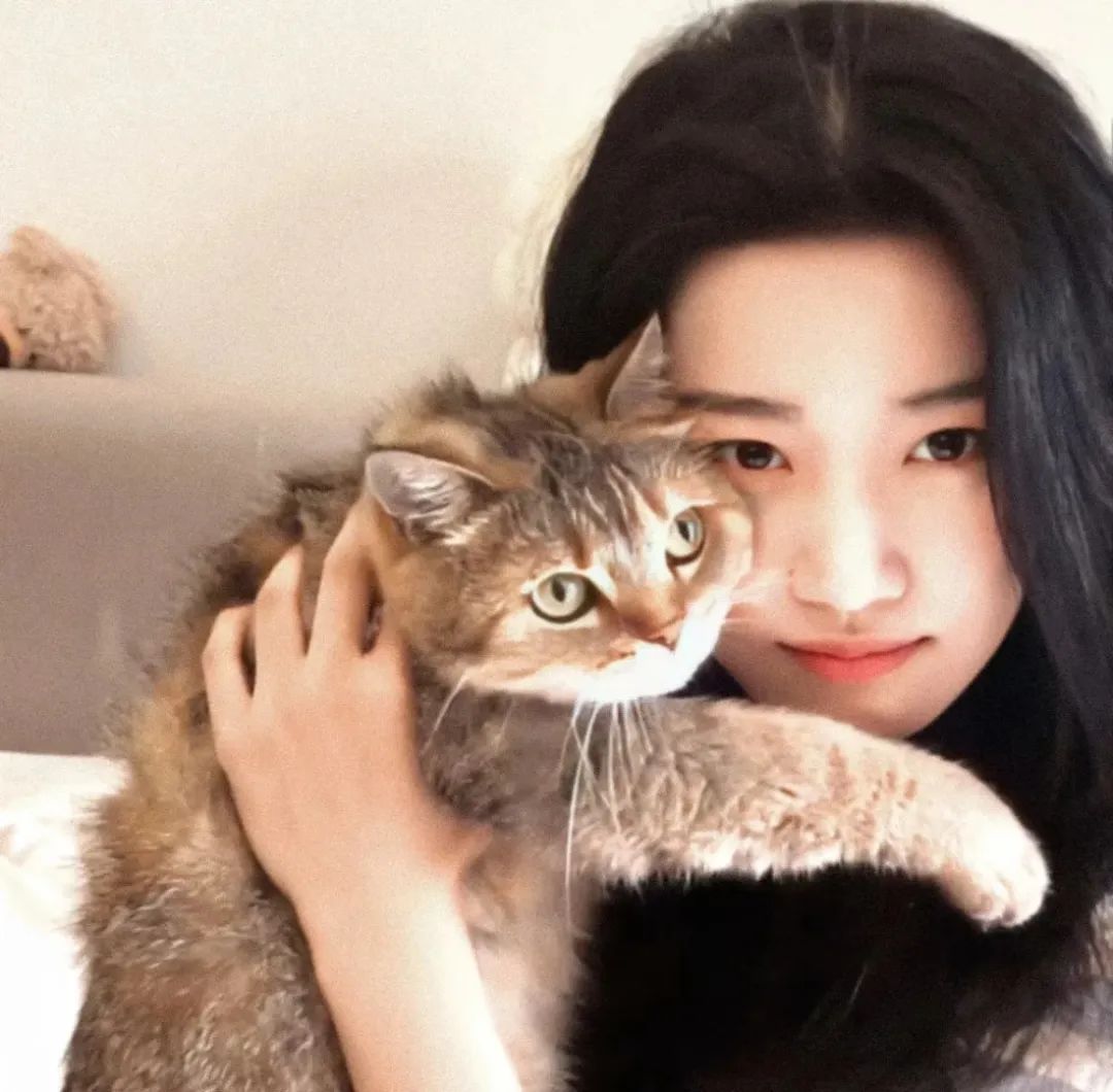 美女温柔抱着猫咪,温馨画面尽显人与宠物的亲密瞬间 男女头像|一眼就爱上表情包图片gif动图 - 求表情网,斗图从此不求人!