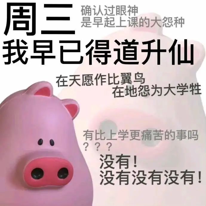 周三我早已得道升仙,早起上课的大学生表示没有更痛苦的事 话痨猪猪表情包 星期小猪表情包表情包图片gif动图 - 求表情网,斗图从此不求人!