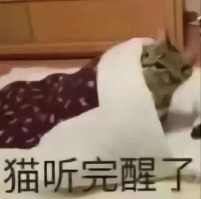 可爱猫咪裹着被子，配文“猫听完醒了”的有趣表情包 500个最火的抽象神经表情包表情包图片gif动图 - 求表情网,斗图从此不求人!