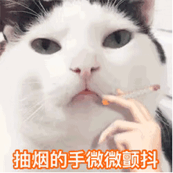 猫咪被人用手拿着烟，配文“抽烟的手微微颤抖”，搞笑又可爱 在? 美女 | 奇怪的表情增加了