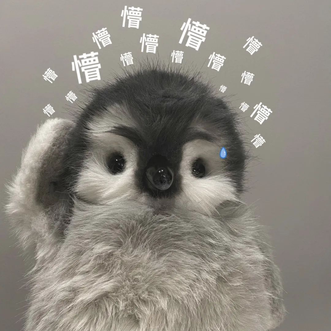 懵圈小萌物!头顶满是“懵”字,眼角还挂着一滴泪,可爱又无奈 你是我女朋友 看一下都不行吗? | 表情包更新提醒!表情包图片gif动图 - 求 ...