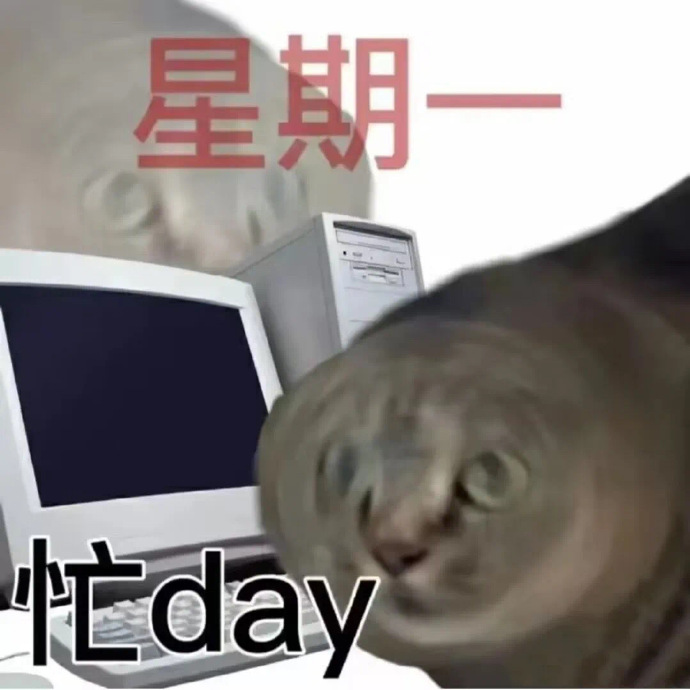 《星期一的忙day，猫咪表情尽显无奈与忙碌》 500个很火的抽象有病表情包表情包图片gif动图 - 求表情网,斗图从此不求人!