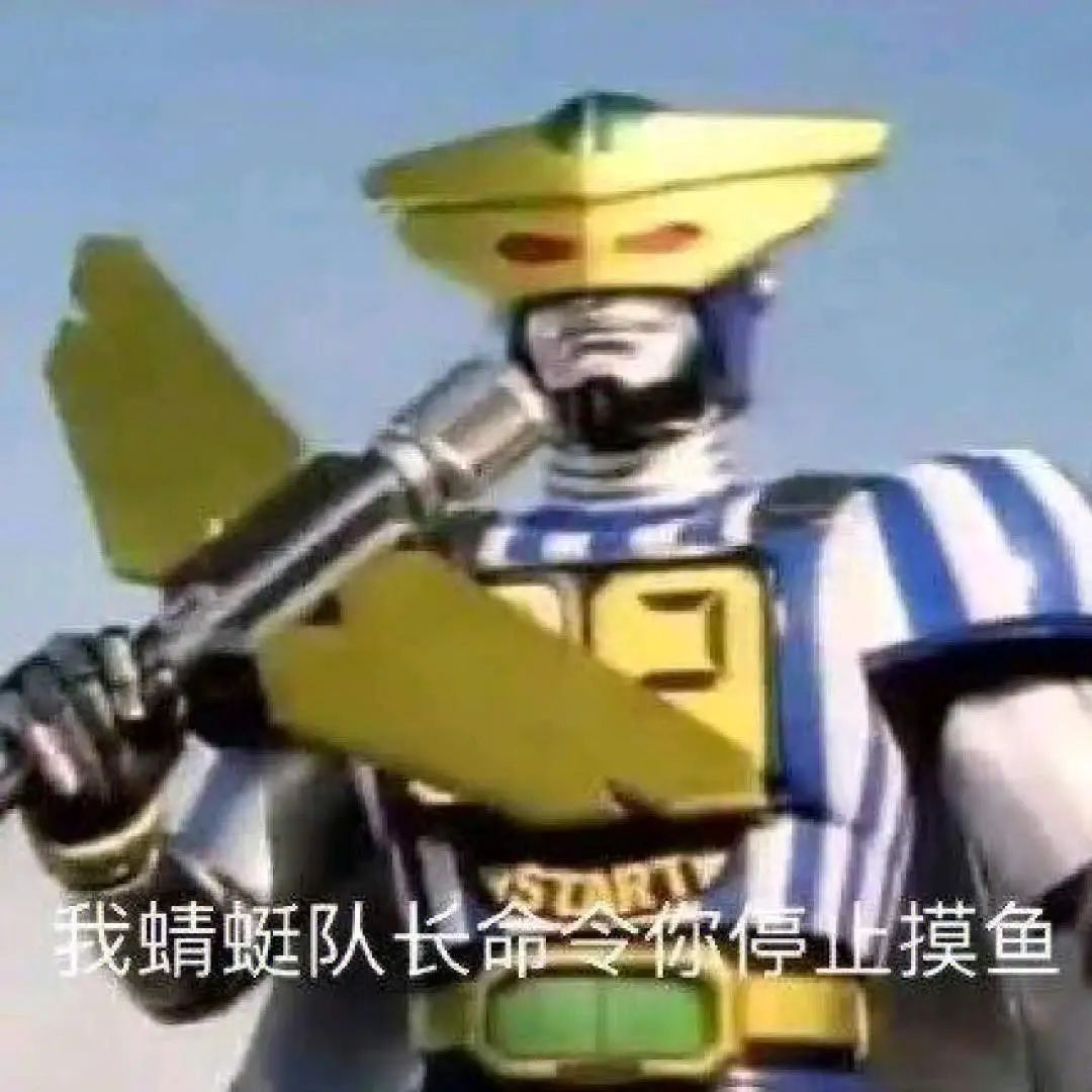 《蜻蜓队长霸气下令:我蜻蜓队长命令你停止摸鱼》 周一斗图表情包 丨 你他爹的表情包图片gif动图 - 求表情网,斗图从此不求人!